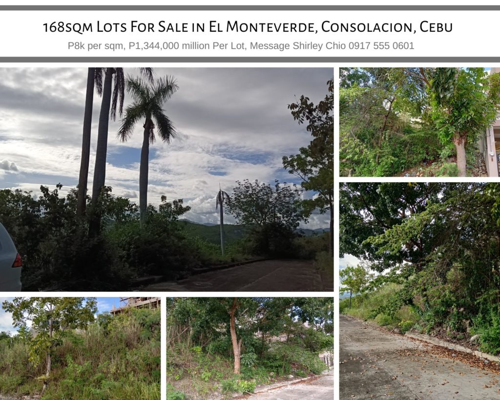 168sqm Lots For Sale El Monteverde Consolacion Cebu