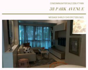 38 Park Avenue Condominium for Sale in Cebu IT Park
