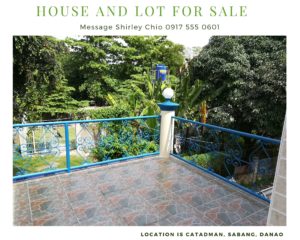 2 Storey House And Lot With Spacious Balcony For Sale In Danao