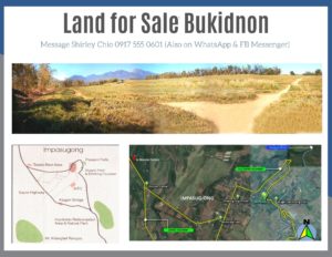 Land for Sale Bukidnon Cagayan de Oro Philippines